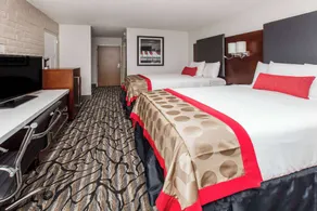 Ramada by Wyndham Austin South - Chambre