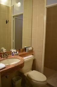 Real de la Presa - Bathroom