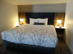 Best Western Denver East - Chambre