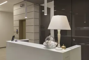 Hotel Derby S - Reception