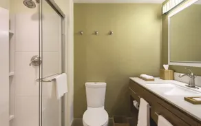 Home2 Suites By Hilton Winter Garden - Bathroom