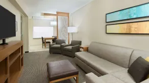 Hyatt Place Austin/Round Rock - Chambre