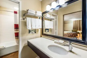 Red Roof Inn & Suites Wapakoneta - Bathroom