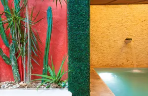 Viva Merida Hotel Boutique - Piscine