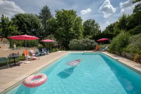 Le Lion d'Or - Pool