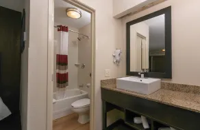 Red Roof Inn PLUS+ Baltimore - Washington DC/BWI South - Salle de bain
