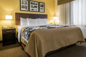 Sleep Inn & Suites Pittsburgh Airport - Chambre