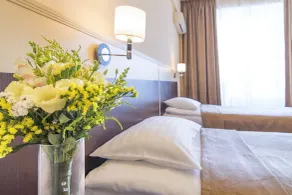 Ukraine Hotel - Room