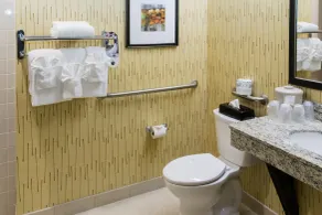 Holiday Inn Express Big Rapids by IHG - Salle de bain