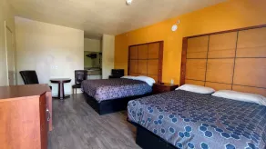 Executive Inn & Suites San Marcos, TX - Værelse