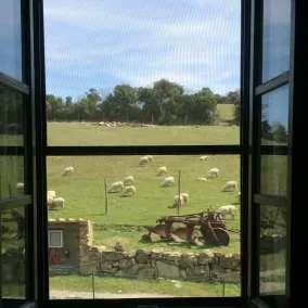 Agriturismo Pian dei Lupi - View from room