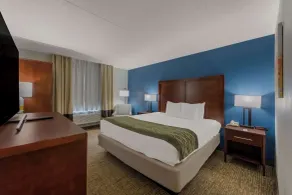 Comfort Inn Newport News - Hampton I-64 - Chambre