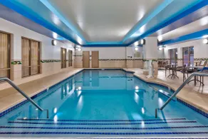 Hampton Inn & Suites Flint/Grand Blanc - Piscine