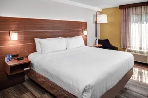 Holiday Inn Express Richmond-Mechanicsville by IHG - Chambre