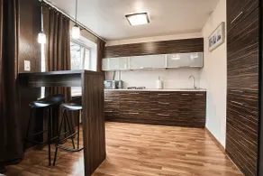 MinskLux studio apartment on Bogdanovicha 74 - Cuisine privée