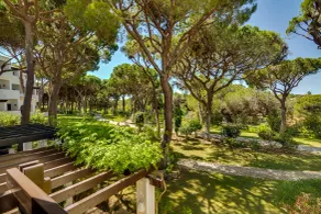 Pine Cliffs Village - Vue de la chambre