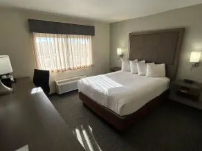 Best Western Plus Paper Valley Hotel - Værelse