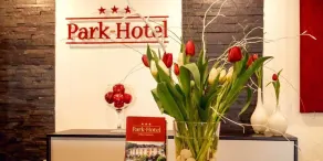Park-Hotel Traben-Trarbach - Recepção