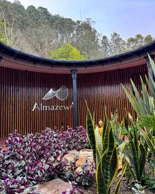 AlmazewÁ - Recepción