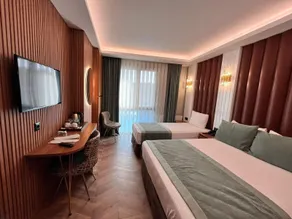 Gumus Palace Hotel - Room