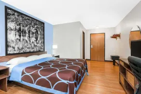 Super 8 by Wyndham Oneonta/Cooperstown - Chambre