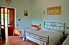 Il Falco del Cilento - Quarto