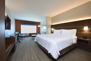 Holiday Inn Express & Suites Spring - Woodlands Area by IHG - Værelse