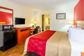 Econo Lodge Martinsville - Rom