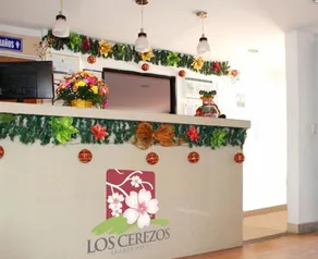 Apartahotel Los Cerezos - Pool