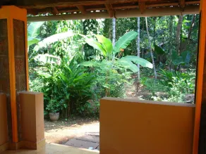 Dudhsagar Plantation - Vue de la chambre