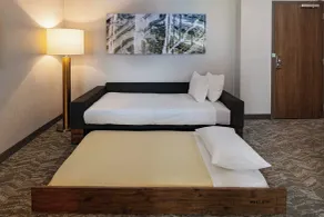 SpringHill Suites by Marriott Dallas Richardson/University Area - Chambre
