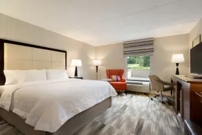 Hampton Inn & Suites Birmingham East Irondale - Chambre