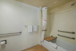 Red Roof Inn Atlanta South - Morrow - Salle de bain
