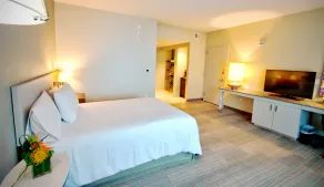 Hilton Garden Inn Miami Dolphin Mall - Chambre