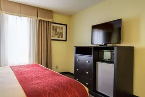 Comfort Inn & Suites Macon North I-75 - Chambre