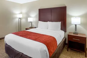 Comfort Inn Hoffman Estates - Schaumburg - Room