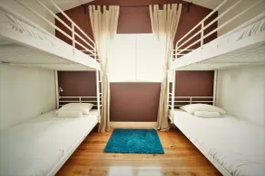We Love F Tourists - Chambre