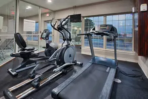 Holiday Inn Express Hotel & Suites Delaware-Columbus Area by IHG - Sala de fitness