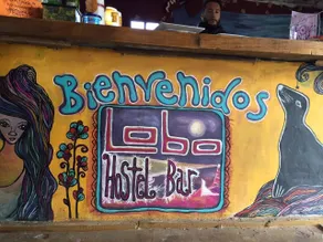 Lobo Hostel Bar - Reception