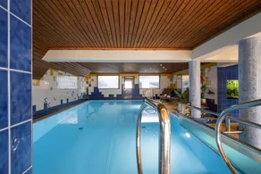 Czarny Potok Wellness & Spa Zakopane Centrum - Pool