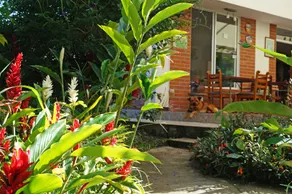 Mindo Real - Reception