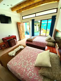 Galápagos Eco Friendly - View from room