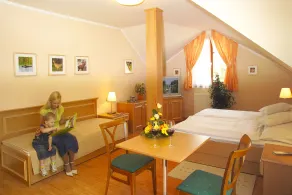 Vadászkürt Panzió - Room