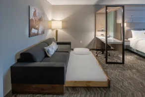 SpringHill Suites by Marriott Fort Worth Historic Stockyards - Chambre