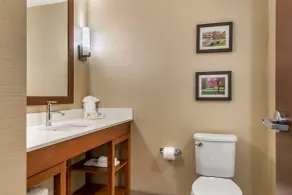 Comfort Suites Camp Hill-Harrisburg West - Bathroom