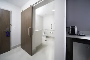 Holiday Inn Express & Suites - Fort Myers Airport by IHG - Badeværelse