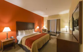 Comfort Inn & Suites Villa Rica - Chambre