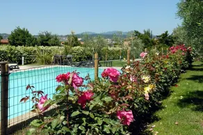 Locanda dei Rii - Pool