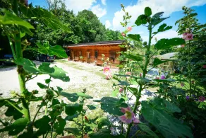 BioAgriturismo Vegan Campo di Cielo - Udsigt fra værelset