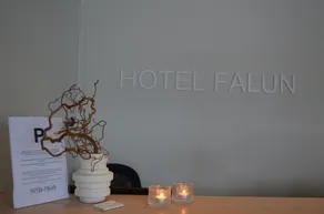 Hotel Falun - Réception